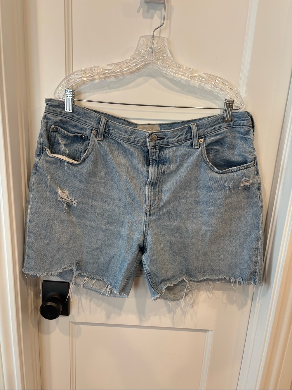 Everlane Denim Shorts